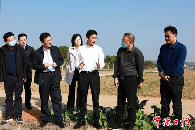 曹志强在鼎城区调研时强调：弘扬扛鼎精神 担负主力军职责 为建设社会主义现代化新常德贡献更多力量