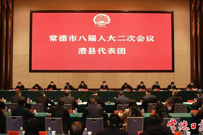 曹志强参加澧县代表团分团审议