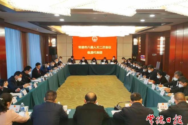 曹志强参加临澧代表团分团审议