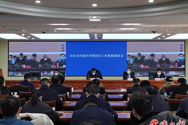 全市农村地区疫情防控工作视频调度会议强调 最大程度保护农村居民生命安全和身体健康