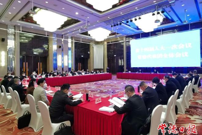 常德代表团集中审议省政府工作报告及其他报告