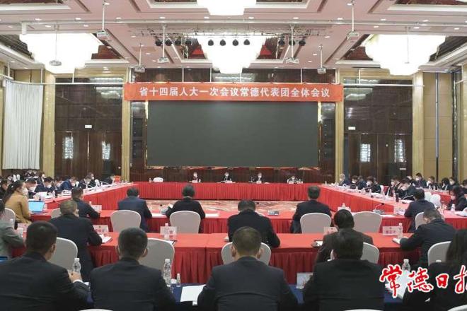 常德代表团集中审议省人大常委会、省高院、省检察院工作报告