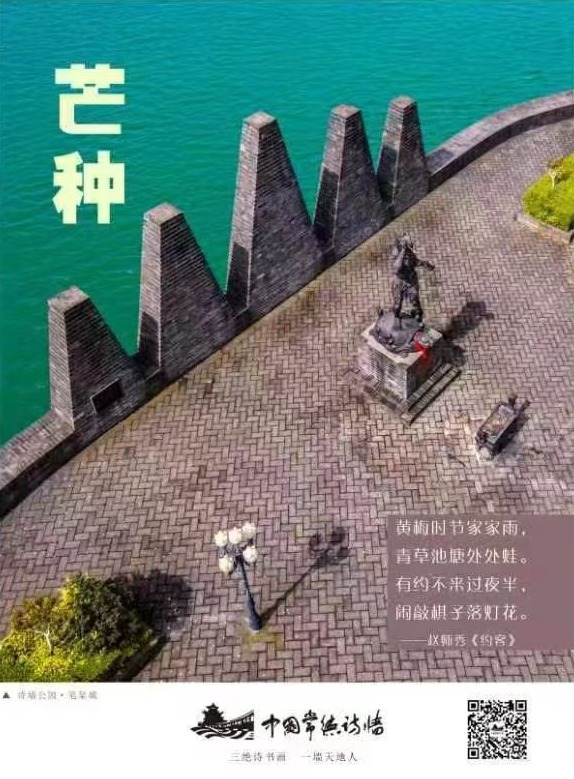 中国传统二十四节气：芒种