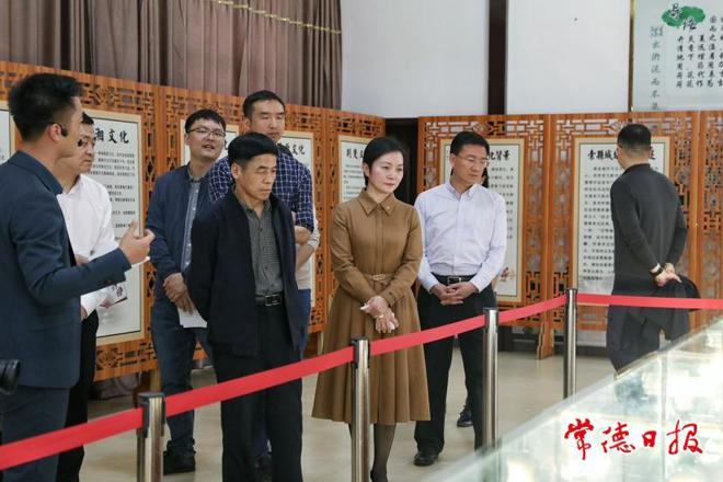 国家文旅部调研组来常调研文旅融合重点项目建设情况