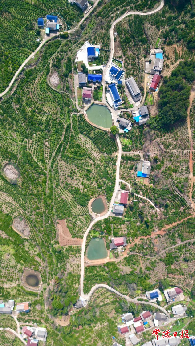 1f7954eb84e84ef38e995ac63fb288de.jpg 1f7954eb84e84ef38e995ac63fb288de.jpg