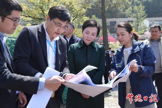 市领导调研桃花源文化旅游节筹备工作