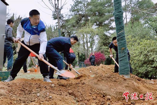 市城建系统开展义务植树活动