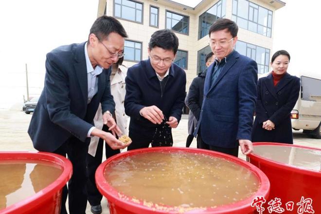 曹志强深入鼎城区调研春耕备耕、高标准农田建设工作