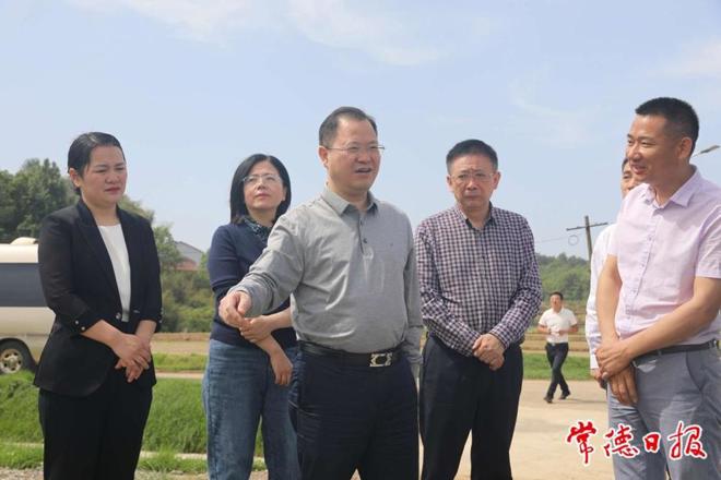 周振宇赴临澧县调研农业农村和防汛备汛工作时强调：确保各项工作规范有序运转