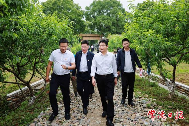 曹志强带队调研桃花源乡村振兴示范片建设时强调：努力把桃花源“美好风景”变成“幸福光景”