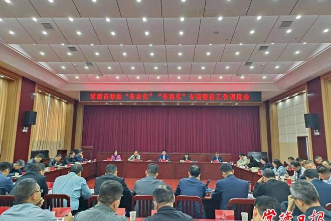  我市强力推进耕地“非农化”“非粮化”专项整治