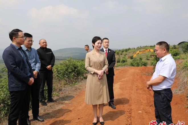 市领导赴临澧县开展巡林和矿山安全生产督导检查