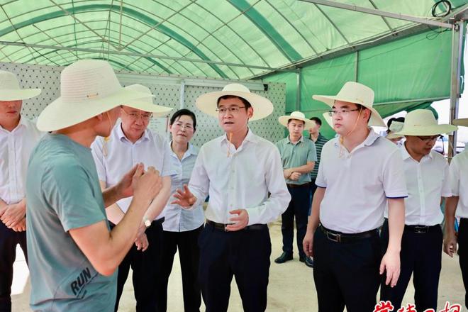 曹志强在汉寿县调研时强调：扛稳粮食安全重任 守住耕地保护红线