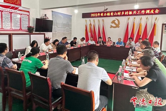 市领导赴桃源县调研指出：发展乡村旅游产业 赋能庭院经济建设