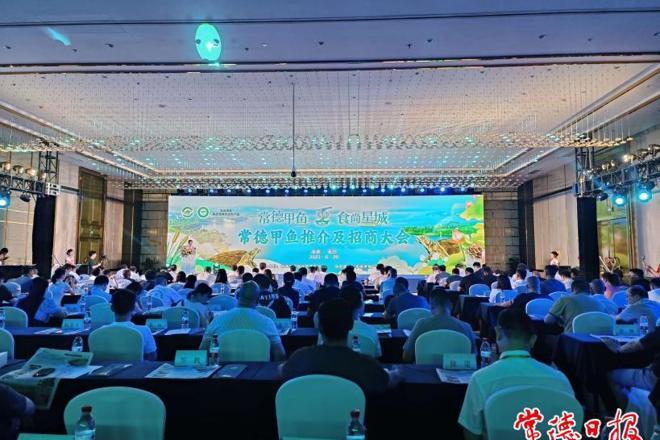 常德甲鱼推介及招商活动在长沙举办