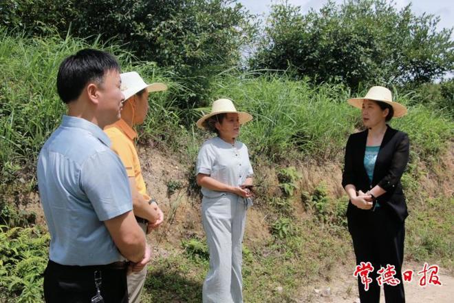 市政协开展界别委员视察活动