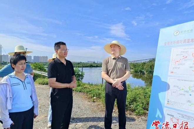 市领导调研督导全市山水项目建设