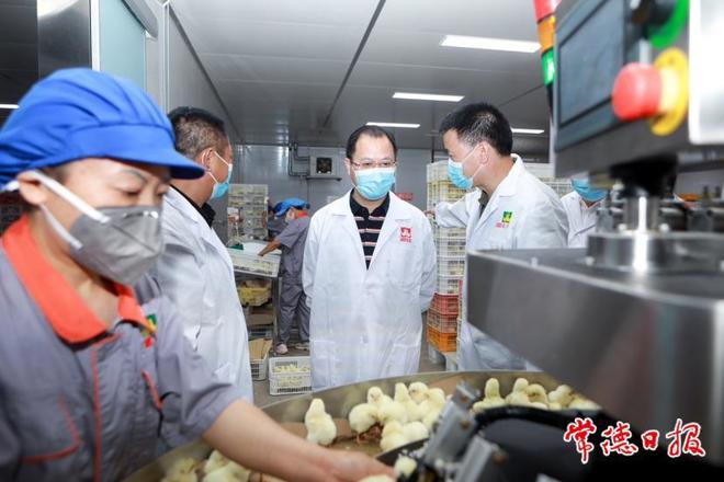 周振宇深入石门县开展调查研究并指出：坚定不移做大做强县域经济 推动经济社会高质量发展