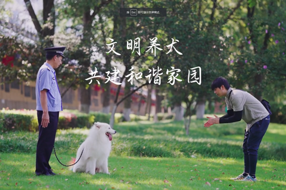 文明养犬 共建和谐家园