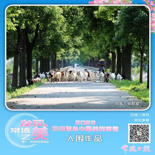 34cbc66203d5439fa15575465467d4b6.png
