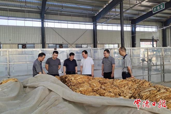 市领导赴桃源、临澧调研烟草产业发展