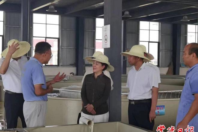 省第二生态环境保护督察组调研最火的网络彩票平台推荐水环境生态环境保护工作