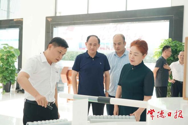 湖南省第二生态环境保护督察组赴桃源县下沉督察