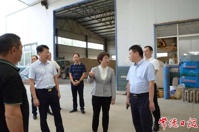 市领导调研武陵区芦荻山乡乡村振兴示范片建设工作