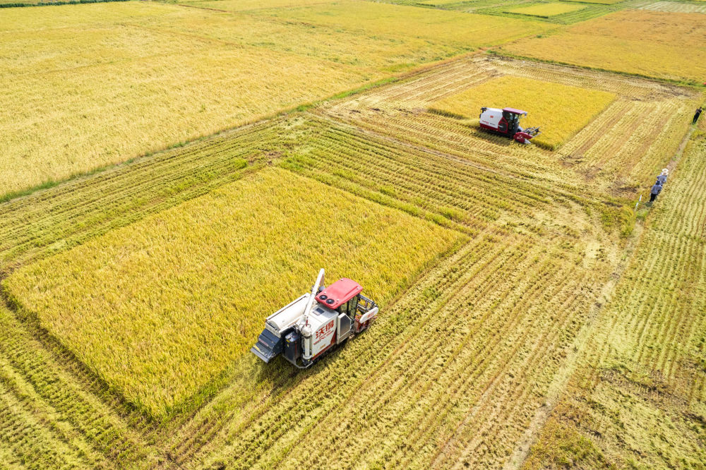 bbf27943362f4cc6b68654f6af9259f2.jpg bbf27943362f4cc6b68654f6af9259f2.jpg