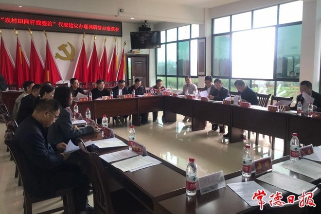 市领导督办“农村田间杆线整治”代表建议