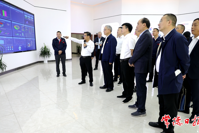 省委主题教育第七巡回督导组赴桃源开展督导工作和主题党日活动