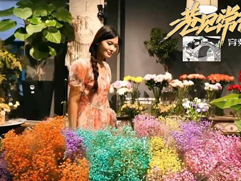 巷见常德之穿紫河畔大小河街 爱情岛篇