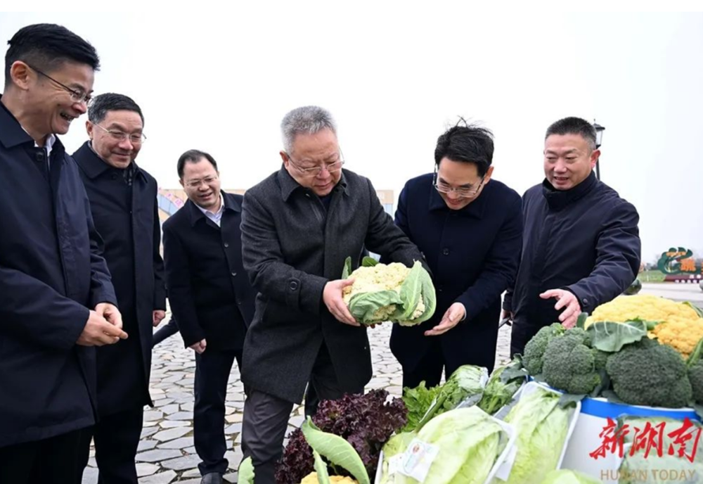 c906a1b2c2fa4df497d370f2c6a50046.png c906a1b2c2fa4df497d370f2c6a50046.png