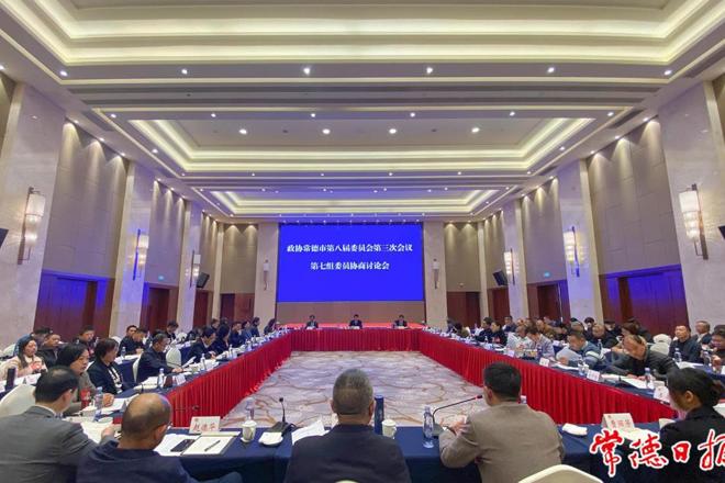 政协委员分组协商讨论政府工作报告和其他报告