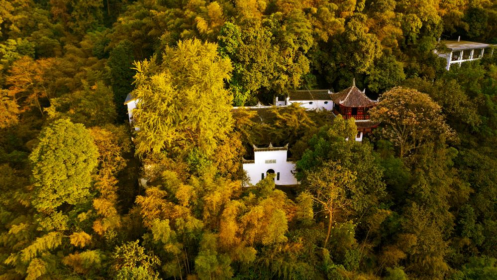 9584a095f0654097b3f3c1e98d86d2b9.jpg 9584a095f0654097b3f3c1e98d86d2b9.jpg