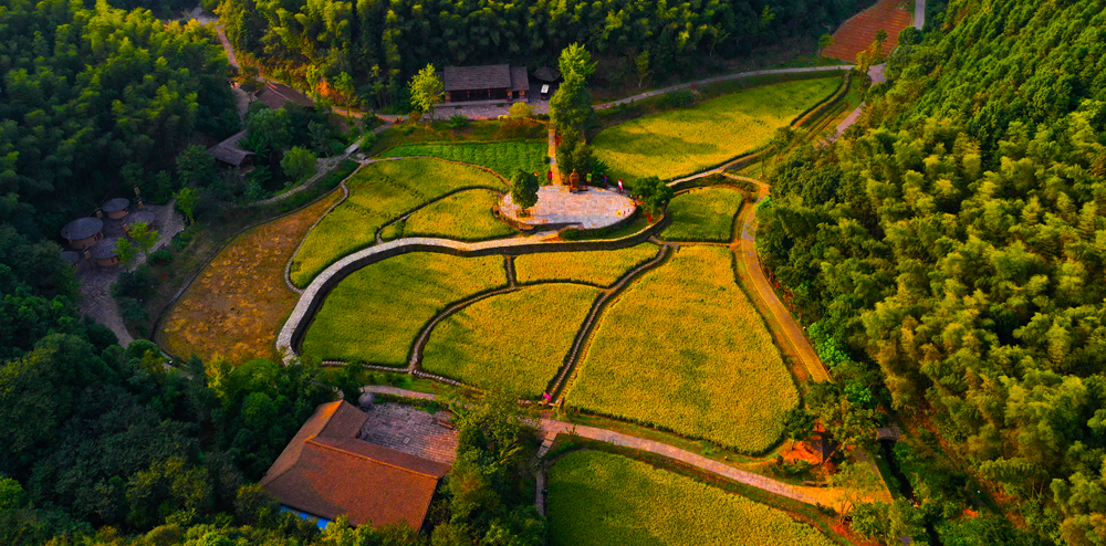 890839f241854abea7cb7a4db763a4e9.png 890839f241854abea7cb7a4db763a4e9.png