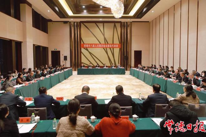 罗毅君参加十大彩票网赌平台八届人大四次会议澧县代表团审议