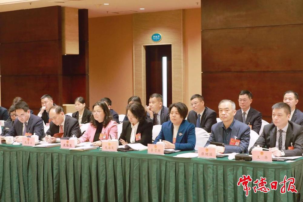 审议现场2 审议现场2