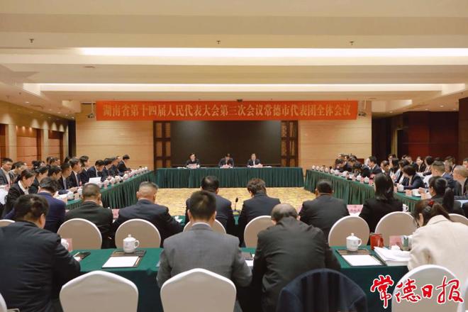 常德代表团集中审议政府工作报告