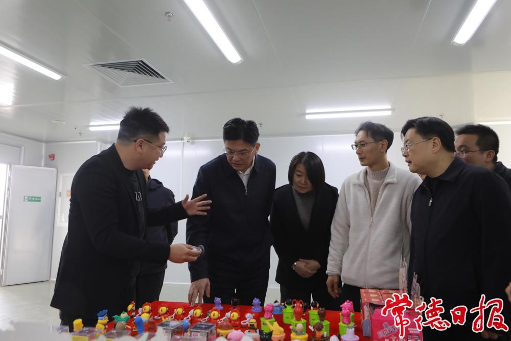 市委书记罗毅君在桑尼森迪项目现场调研