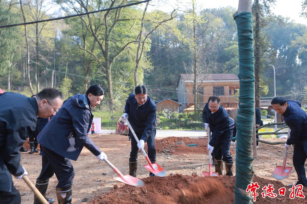 植树现场 植树现场