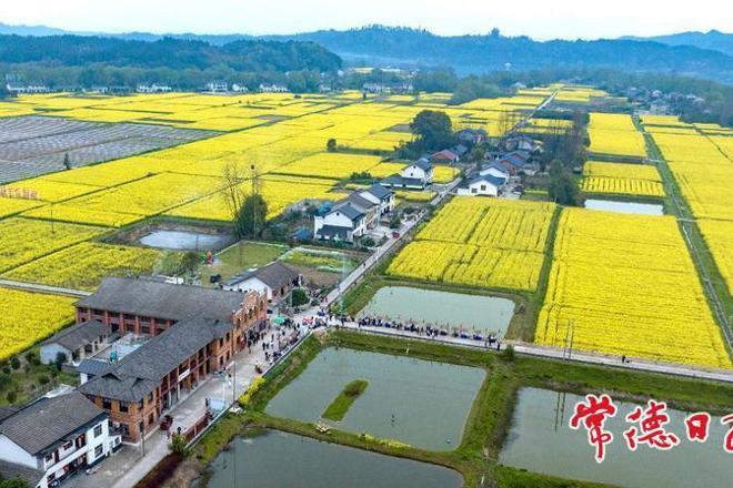 【组图】桃花源白麟洲里的春日慢生活