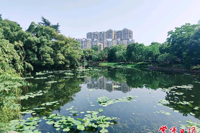 【组图】“绿宝石”滨湖公园