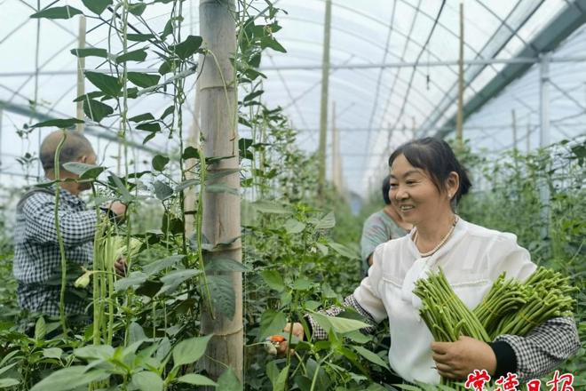 【经济】沃土绘丰景 农旅促振兴