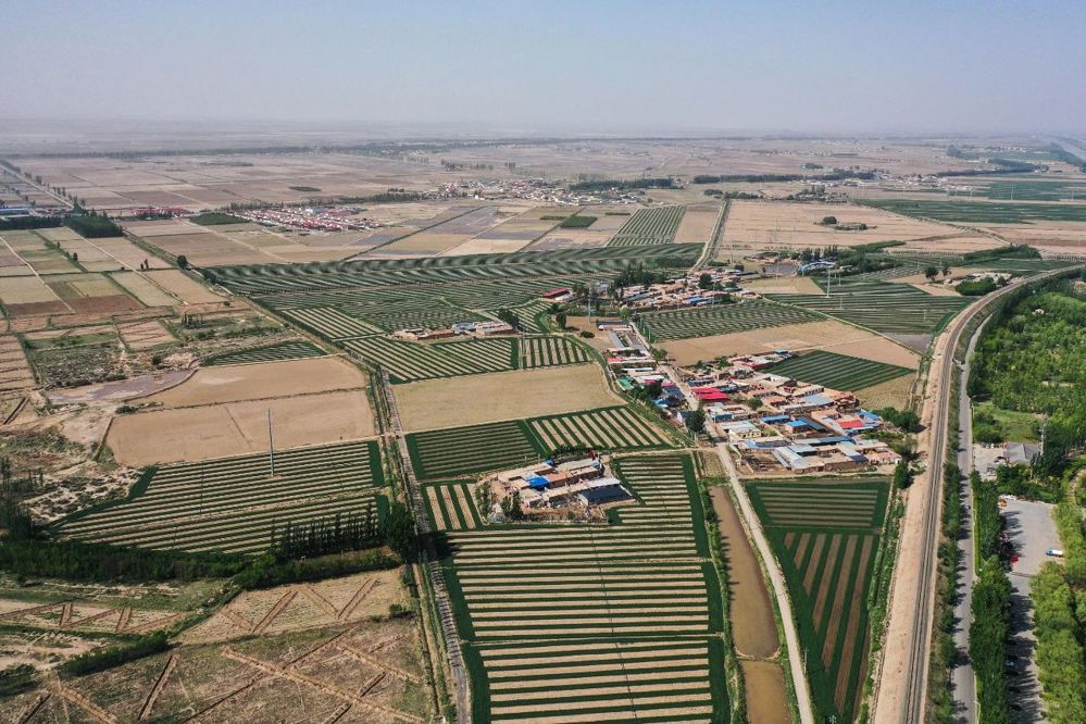 这是内蒙古自治区巴彦淖尔市临河区境内的农田。新华社记者 李志鹏/摄