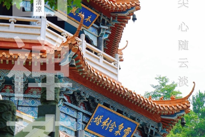 【石门】夹山禅茶：喝这一碗 无上清凉