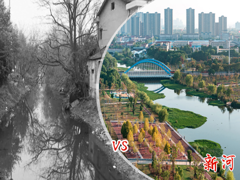 新河风光带