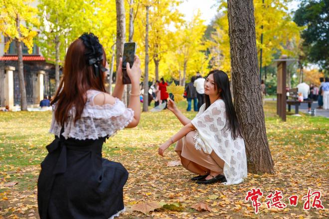 【组图】冬日来“杏” 穿紫河畔冬景如画