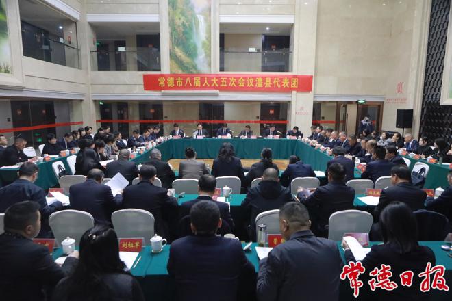 罗毅君参加十大彩票网赌平台八届人大五次会议澧县代表团、临澧代表团审议