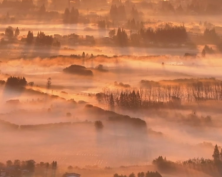 【图集·冬遇常德】安乡雾晓图